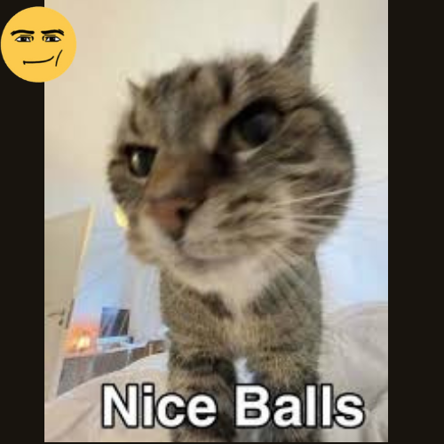 Nice-Balls Nice-Balls